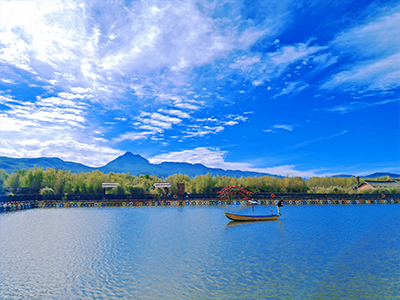 董事長(zhǎng)介紹