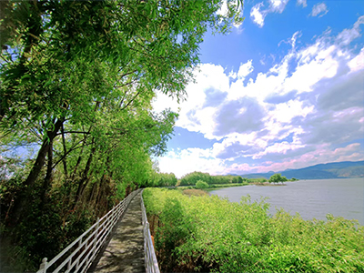 董事長(zhǎng)介紹