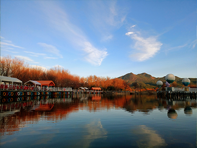 董事長(zhǎng)介紹